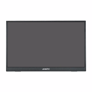 ANMITE A160W04H 16" kaasaskantav monitor