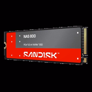 SanDisk NAS 800 SSD, 960 GB, M.2, PCIe 5.0, NVMe, 3D TLC NAND