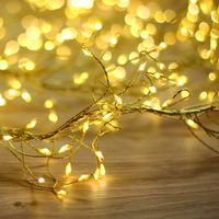 String Light GOLDEN TWIG CLF-03z 480LED cold valge 3m + 5m Forever Light