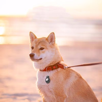 Tech-Protect Rough Vein 2-pack ümbris jaoks Apple AirTag - must