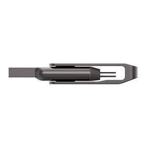 USB 3.1 mälupulk 32GB Lexar JumpDrive D400 LJDD400032G-BNQNG
