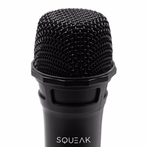 SQUEAK VocalDuo SQ1007 2,4 GHz juhtmevabade karaokemikrofonide komplekt