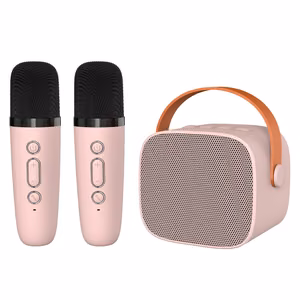 Blavec kantav Bluetooth kõlar WS-07 Karaoke Party 5W 2 mikrofoniga roosa