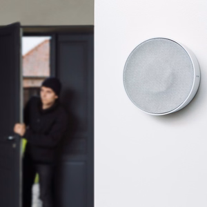 Netatmo NA-NIS01 juhtmevaba sireen siseruumidesse valge
