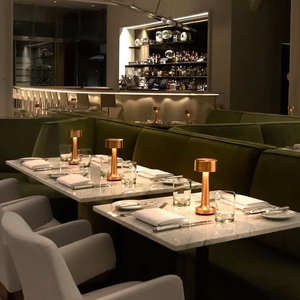 Night lamp WDL-03 juhtmevaba hõbedane