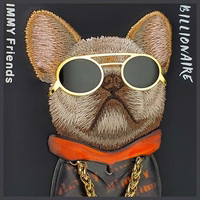 NIMMY ümbris GLASSES COOL DOG jaoks IPHONE 15 Pro Max must