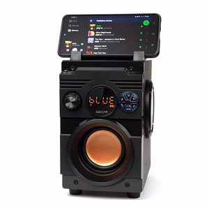SQUEAK kõlar BASSBLASTER BLUETOOTH 5.1 SQ1001