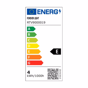 Forever Light LED Bulb E27 G45 4.2W 480lm 3000K class E