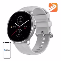 Smartwatch Zeblaze GTR 3 Pro (hõbedane)