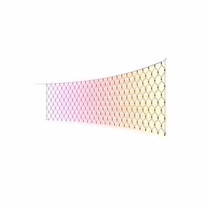Philips Hue Festavia Net Lighting, 1 x 3.5 m, 250 LEDs, EU White and color Bluetooth, Zigbee