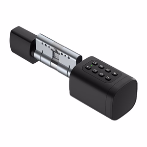 Avatto SDL-V1-B60 60mm Must digital lock cylinder