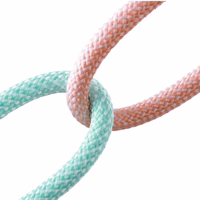 USB Kaabel Joyroom "SA34-AC6" lilla "Type-C" 100cm (kuni 100W)