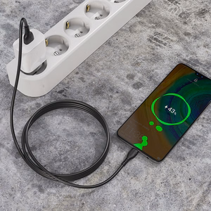 Borofone Кабель BX51 Triumph - USB на Type C - 3A 1 метр черный