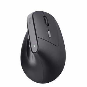 Trust TM-270 juhtmevaba hiir kontori parema käe RF optiline 2400 DPI