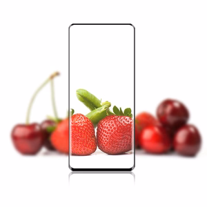 Mocolo 3D Full Glue 9H kogu ekraani kattev karastatud kaitseklaas seadmele Xiaomi 12 Pro, must