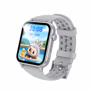 Borofone Smartwatch BD15 hõbedane