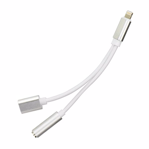 Adapter AUX 2in1 Lightning (male) to Lightning (female) / Jack 3,5 mm (female) hõbedane