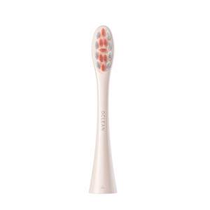 Oclean Professional Clean harjapead 2 tk P1C8, kuldsed
