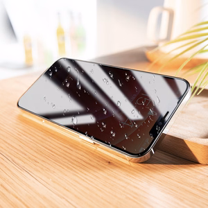 Borofone BF7 Diamond Armor Anti-spy karastatud klaas iPhone 12 Pro Max (10 tk komplekt)