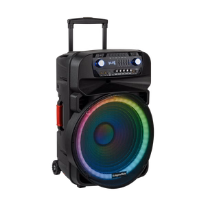 60 W aktiivkõlar 2 juhtmevaba UHF-mikrofoni, SD, Bluetoothi, FM-i, USB ja LED-iga