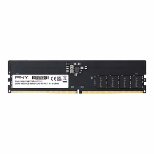 PNY MD16GSD54800-SB mälumoodul 16 GB 1 x 16 GB DDR5 ECC