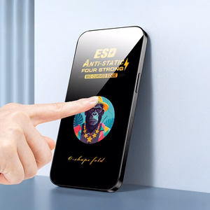 9D OneFit universaalne karastatud klaaside komplekt (10 tk) Universal tempered glass 9D OneFit AI-63 6,2"