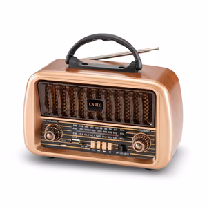 Forever Electro FM raadio CARLO JB-105 BT USB 1200mAh