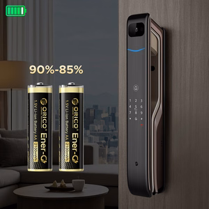 Orico Ener-G EG5C Lithium Battery 1.5V 2100mWh AA USB-C Rechargeable Battery with Charging Cable 2 pcs.
