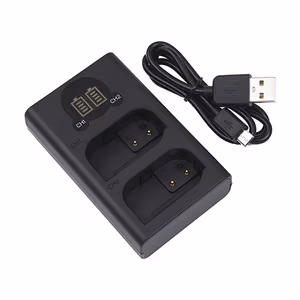 Laadija PANASONIC DMW-BLK22, Dual