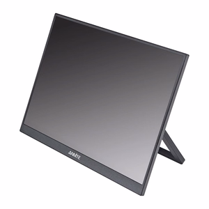 ANMITE A160W03 16" kaasaskantav monitor