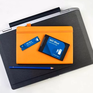 WD sinine SA510 SATA SSD in a 7 mm/2.5-inch enclosure 500 GB (WDS500G5B0A-00LMP0)