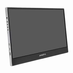 ANMITE A140W04 14" kaasaskantav monitor