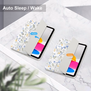 Tech-Protect SC Pen Ümbris jaoks iPad 10.9" 2022 (10th gen.) / 11" 2025 (11th gen.) - Daisies with Leaves