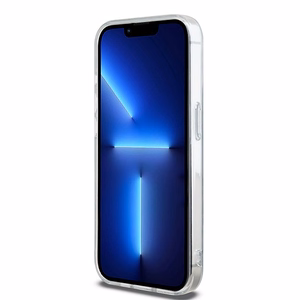 DKNY IML Mono & Stripe MagSafe ümbris jaoks iPhone 15 Pro - must