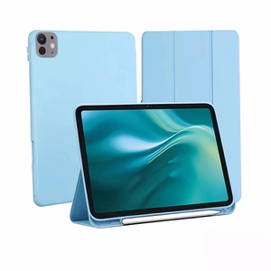 Etteri ümbris for Apple iPad Pro 2024 11' helesinine