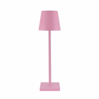 Night lamp WDL-02 juhtmevaba valgus roosa