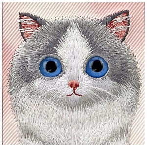 NIMMY ümbris BIG EYED PET 2.0 Cat jaoks IPHONE 16 Pro roosa