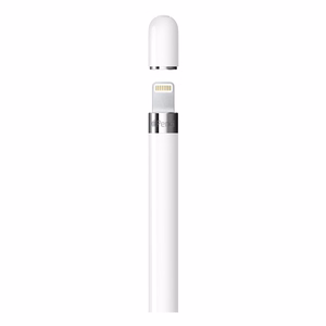 Mahtuvuslik puutepliiats iPad Apple Pencil 1. gen MYQW3ZM/A valge