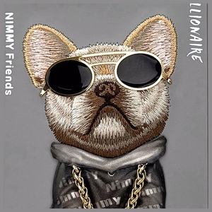 Nimmy Glasses Cool Dog Ümbris jaoks iPhone 16 Pro Max - Hall
