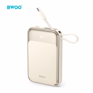 BWOO PD 20W 10000 mAh Akupank With Usb-c Kaabel and Ekraan P80 kuldne
