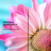 Karastatud klaas 2,5D Premium jaoks Xcover 7 Pro