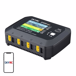 SkyRC Q100neo AC/DC multifunktsionaalne nutikas laadija