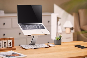 Gembird NBS-D1-03 laptop stand hõbedane 39.6 cm (15.6")