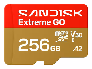 SanDisk Extreme GO 256 GB MicroSDXC UHS-I