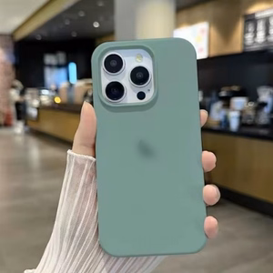 Telefoni ümbris Silicone Plastic Pack Apple iPhone 12 Pro Max Cactus (pakendis)