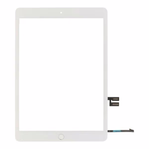 Puutetundlik klaas iPad 10.2 2019 (7th Generation) / 10.2 2020 (8th Generation) valge OEM
