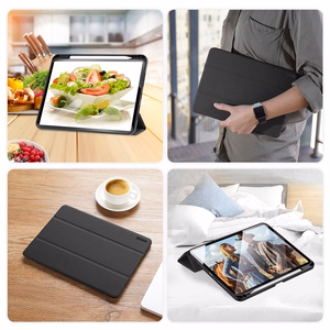 Case Dux Ducis Domo Apple iPad Pro 11 2024/2025 black