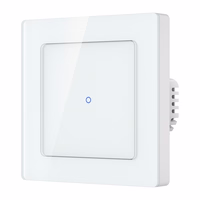 Avatto TS20-EU-W1 WiFi touch valgus lüliti