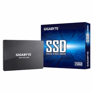 Gigabyte GP-GSTFS31256GTND 256 GB Solid-state drive interface SATA Read speed 520 MB/s Write speed 500 MB/s