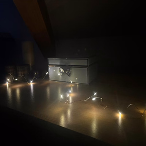 LED-проволока для новогодних украшений, на батарейках (50CM)